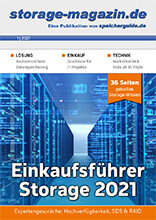 Storage-Magazin-01-2021-EinkaufsfuehrerStorage2021-220x156