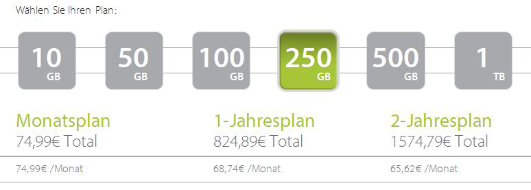 Preispläne der für KMUs konzipierten Online-Backup-Services »MozyPro«, in diesem Fall 250 GByte (Grafik: Mozy).