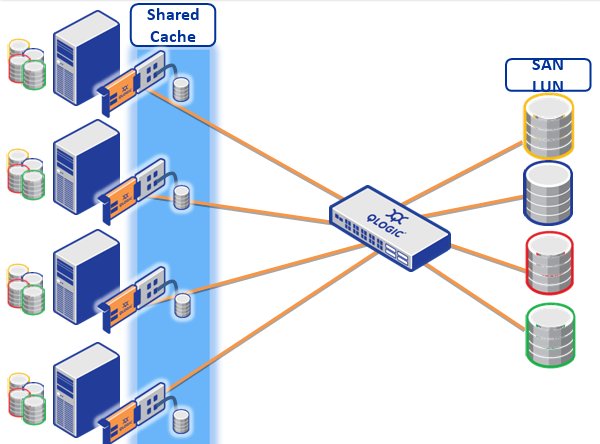 Shared-SSD-Cache mit »Mount Rainier« (Bild: Qlogic)