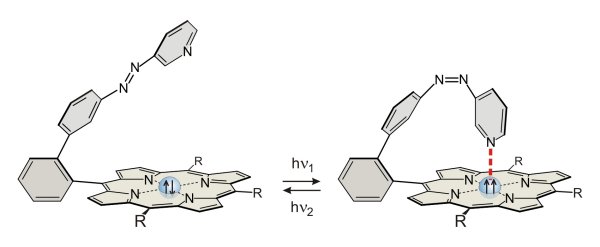 Das Plattenspieler-Molekül im Modell. Die Pfeile symbolisieren den magnetischen Zustand im Nickelion, der sich durch Kontakt mit dem Stickstoffatom am »Tonarm« gezielt schalten lässt. (Grafik: CAU; Rainer Herges)