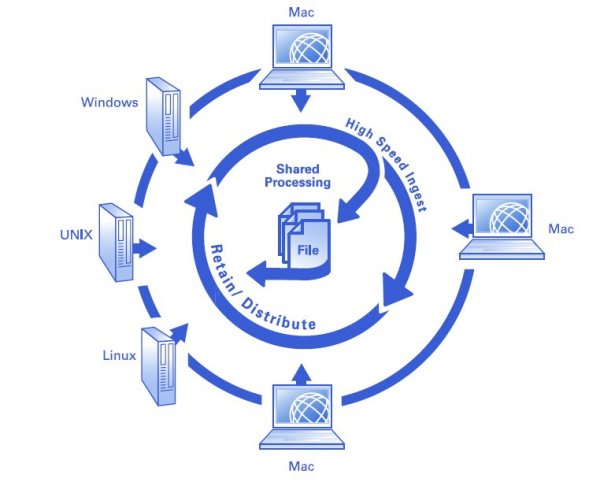 Workflow bei der »StorNext«-Datenmanagement-Software (Bild: Quantum)