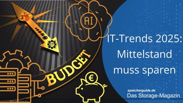 IT-Trends 2025: Mittelstand muss sparen