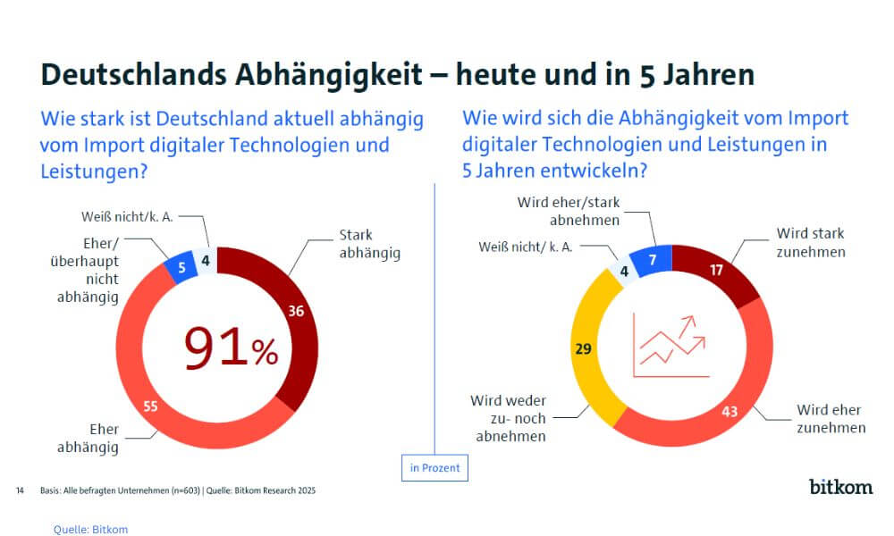 Ohne Digitalimporte würde jedes zweite Unternehmen kein Jahr überleben können – eine Besserung ist kaum in Sicht: (Grafik: Bitkom)