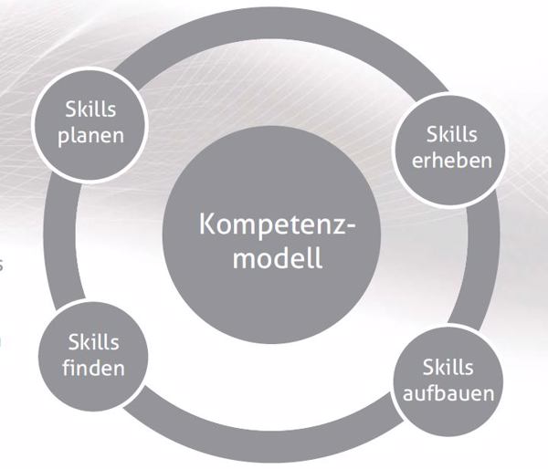 Nicht nur für Big Data: Kompetenzmodell zum Skills-Management (Bild: Data Assessment Solutions)