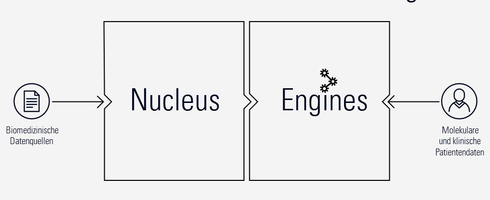 »Nucleus« gilt als das mittlerweile größte Data-Warehouse für biomedizinische Daten weltweit (Bild: Molecular Health)