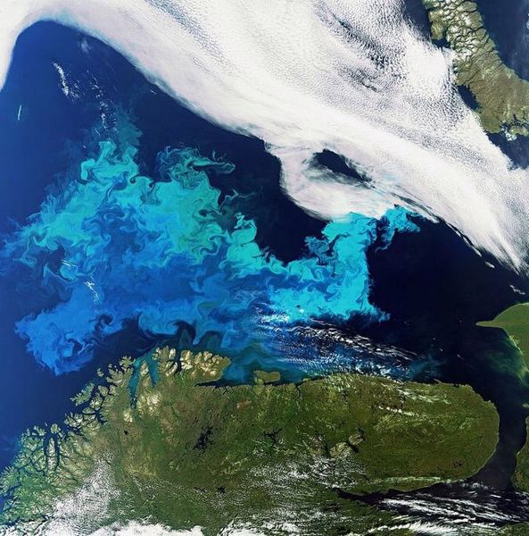 Erfassung der Plankton-Blüte im Mittelmeer (Bild: ACRI-ST, Quantum)