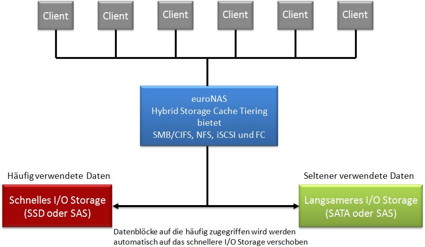 Hybrid-Storage-Cache-Tiering holt das beste aus Festplatten und SSD heraus (Bild: Euronas)