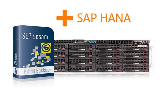 Erste SAP-HANA-Backup-Appliance basierend auf »SEP sesam« (Bild: Thomas-Krenn)