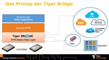 Tiger Bridge: Datenwert im Einklang mit den Speicherkosten