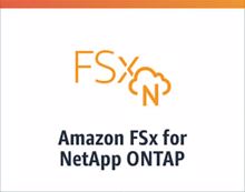 Amazon FSx für Netapp Ontap verfügbar