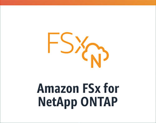 Neu auf AWS: Amazon FSx für Netapp Ontap (Bild: AWS)