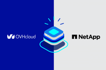 OVHcloud Enterprise FileStorage: Dateispeicherservice mit Netapp