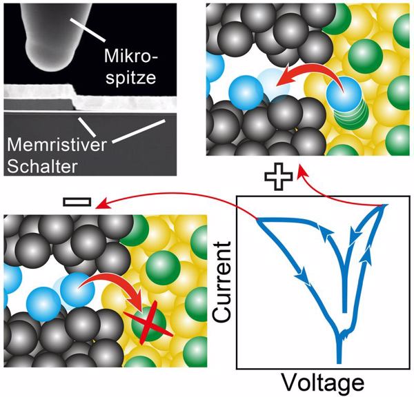 Im Transmissionselektronenmikroskop wird das Bauelement mit einer beweglichen Mikro-Spitze kontaktiert. Wenn positive Spannungen angelegt werden, wird Sauerstoff (blaue Kugeln) ausgebaut, es bleiben Sauerstoffleerstellen (grüne Kugeln) zurück. Bei negativer Spannung wird der Sauerstoff wieder eingebaut. (Bild: Forschungszentrum Jülich)